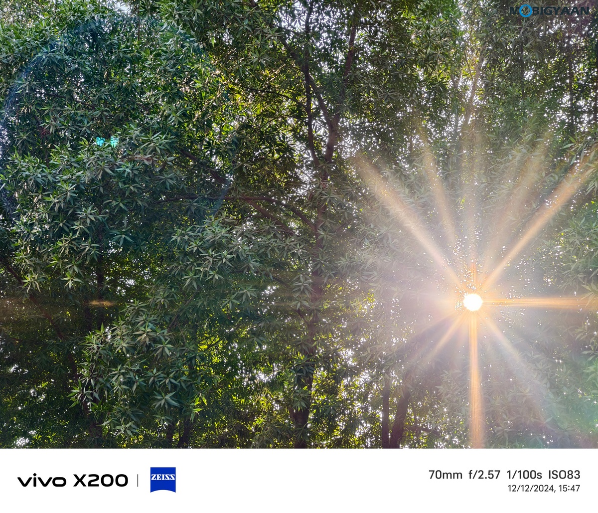 vivo X200 Review Camera Samples 18