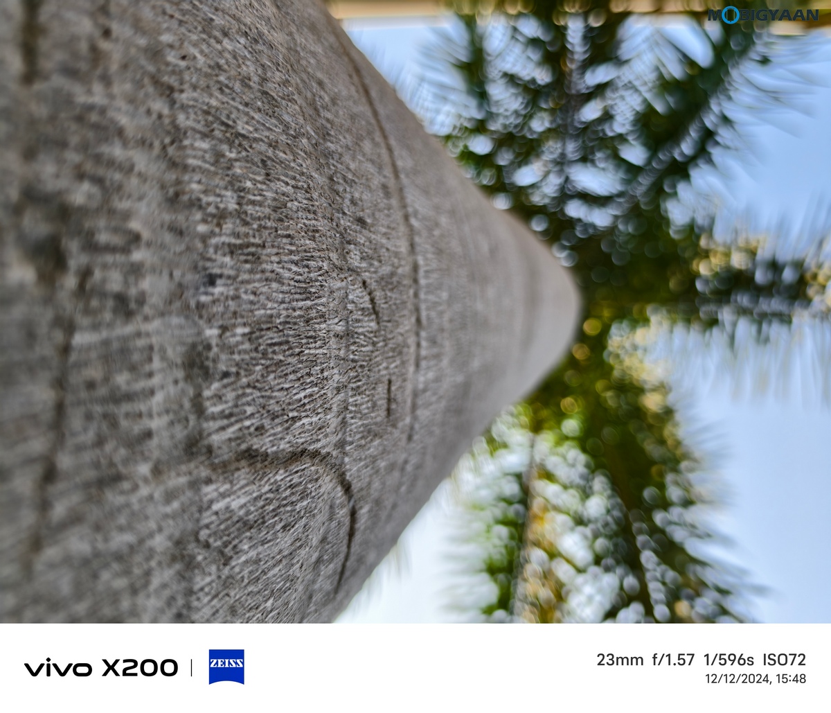 vivo X200 Review Camera Samples 19