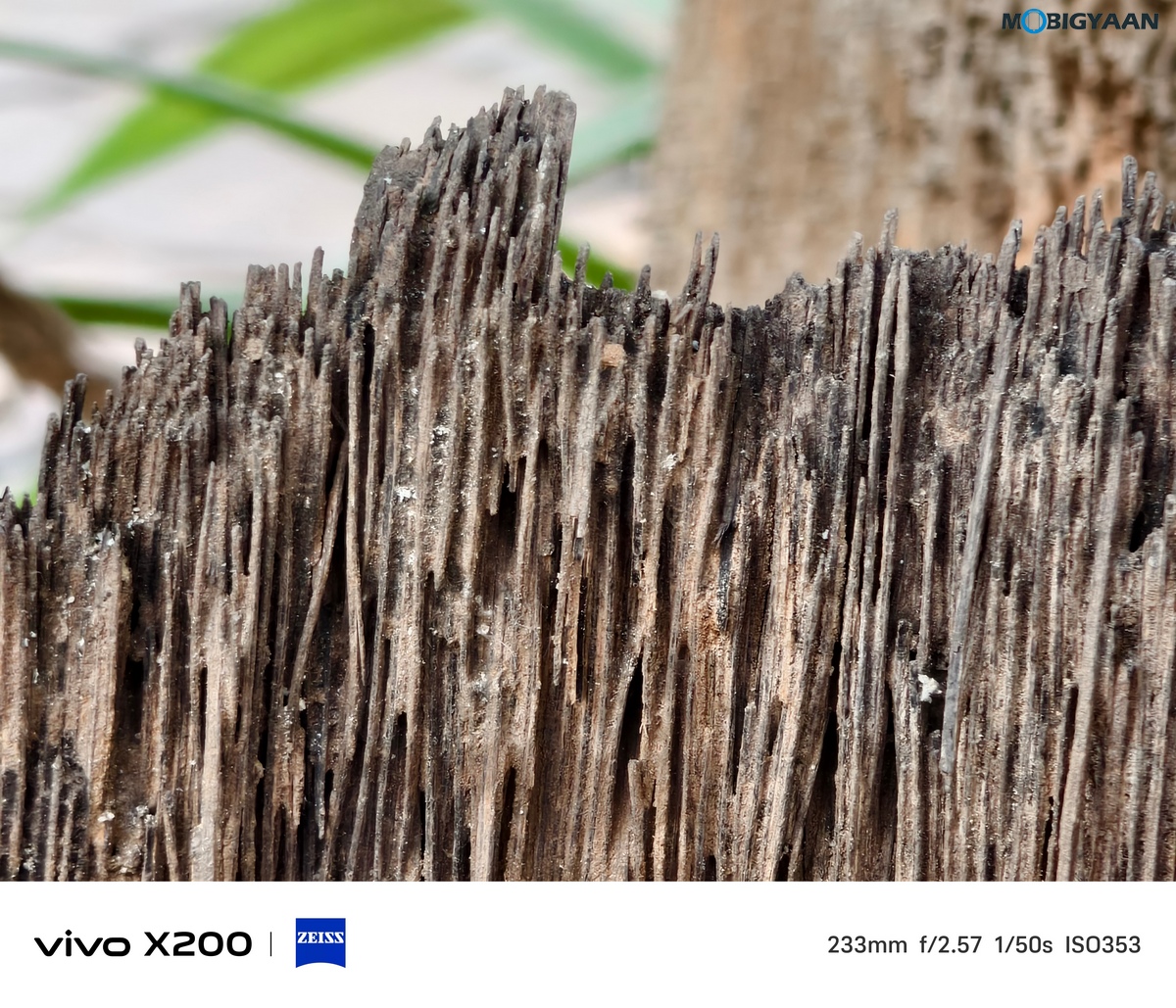 vivo X200 Review Camera Samples 30