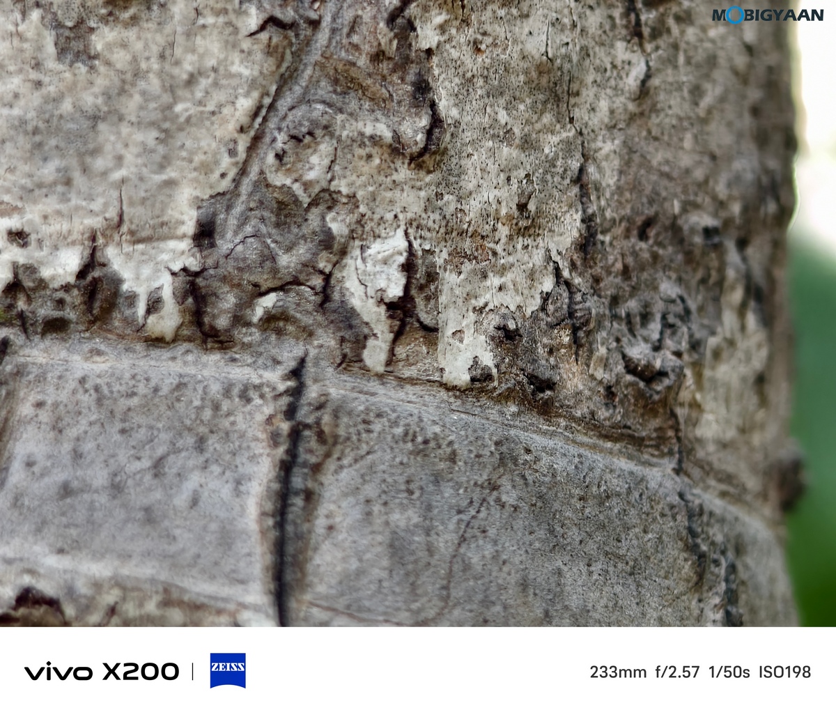 vivo X200 Review Camera Samples 31