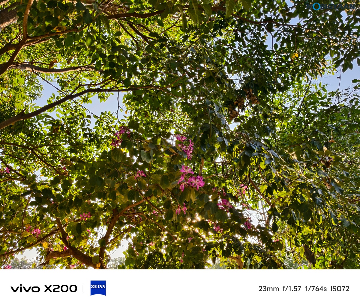 vivo X200 Review Camera Samples 34