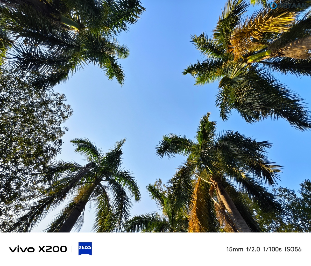 vivo X200 Review Camera Samples 36