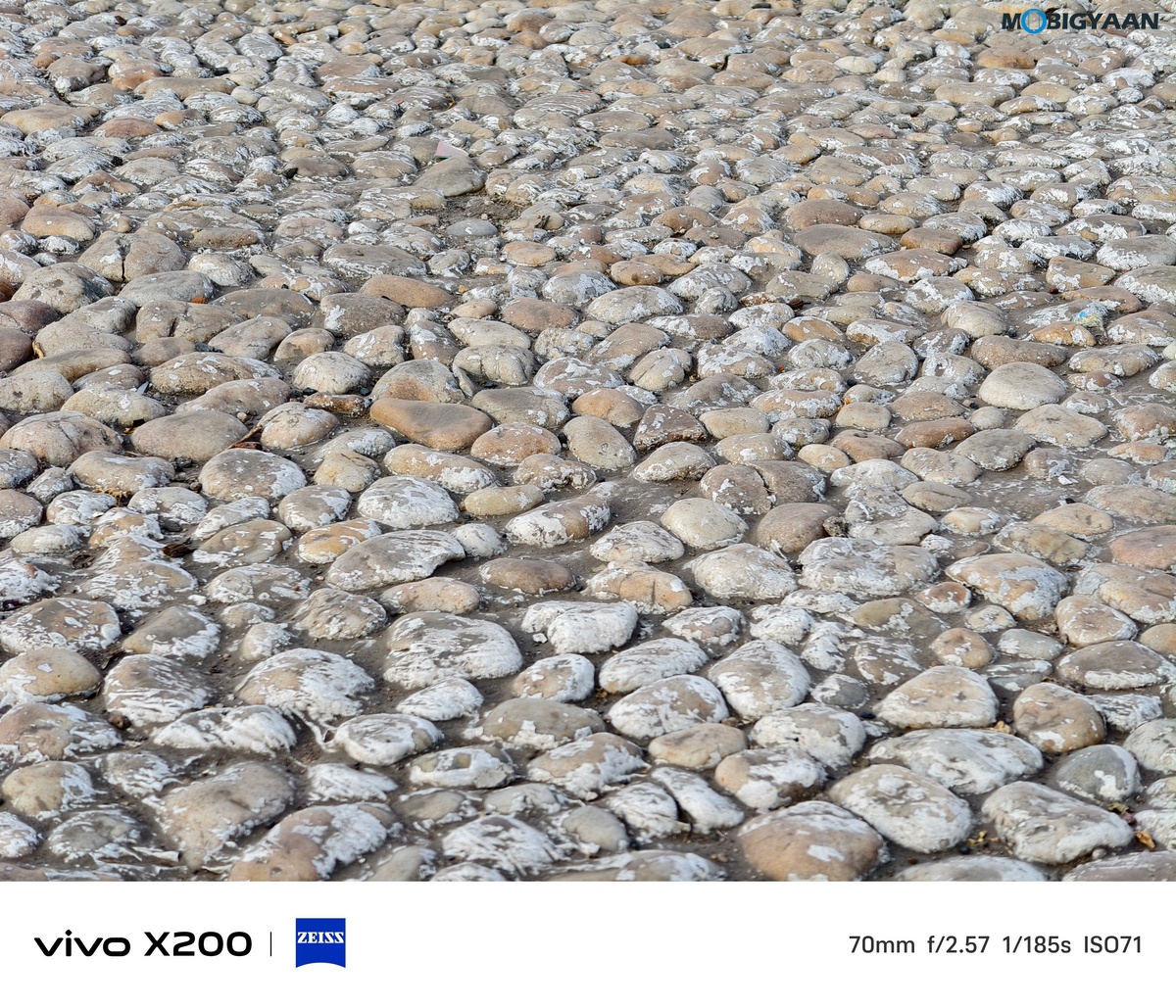 vivo X200 Review Camera Samples 39