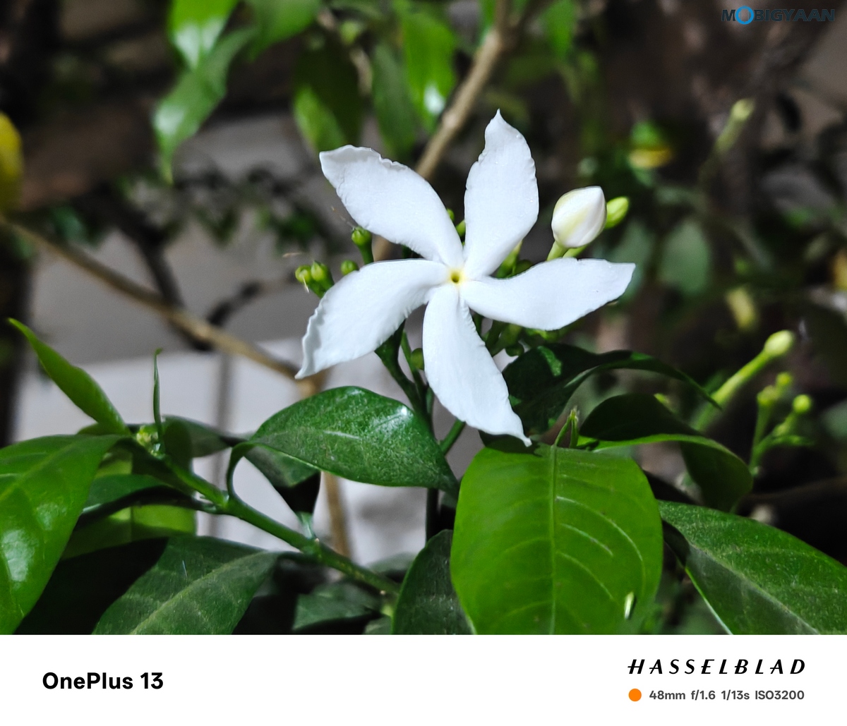 OnePlus 13 Review Camera Samples 33