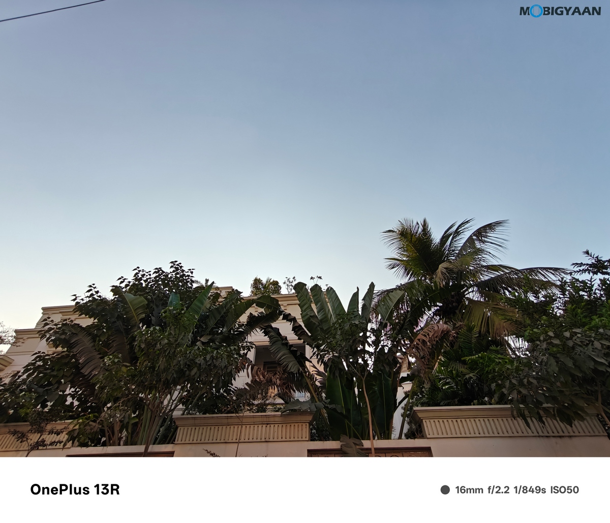 OnePlus 13R Review Camera Samples 15