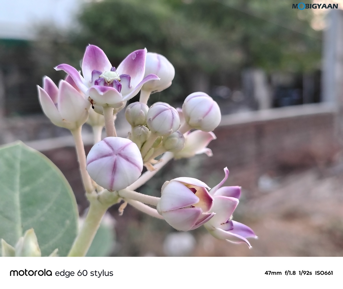 motorola edge 60 STYLUS Review Camera Samples 8